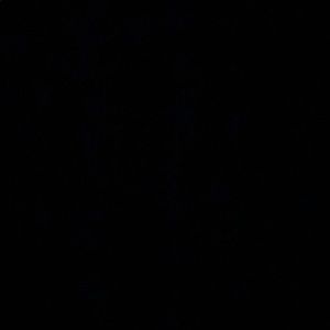 Meet your Posher, Jaden